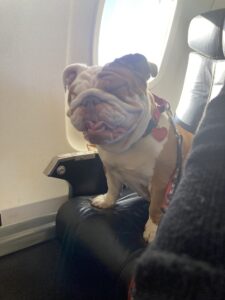Fiona